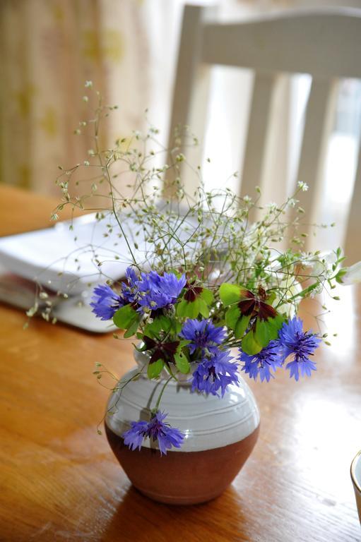 Wisteria House B&B Cloyne Bagian luar foto
